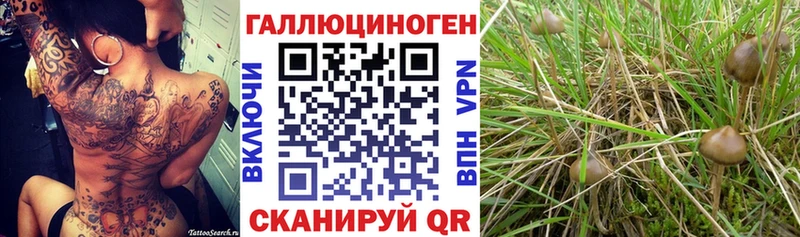 Галлюциногенные грибы ЛСД OMG ссылки Верхний Уфалей купить наркоту